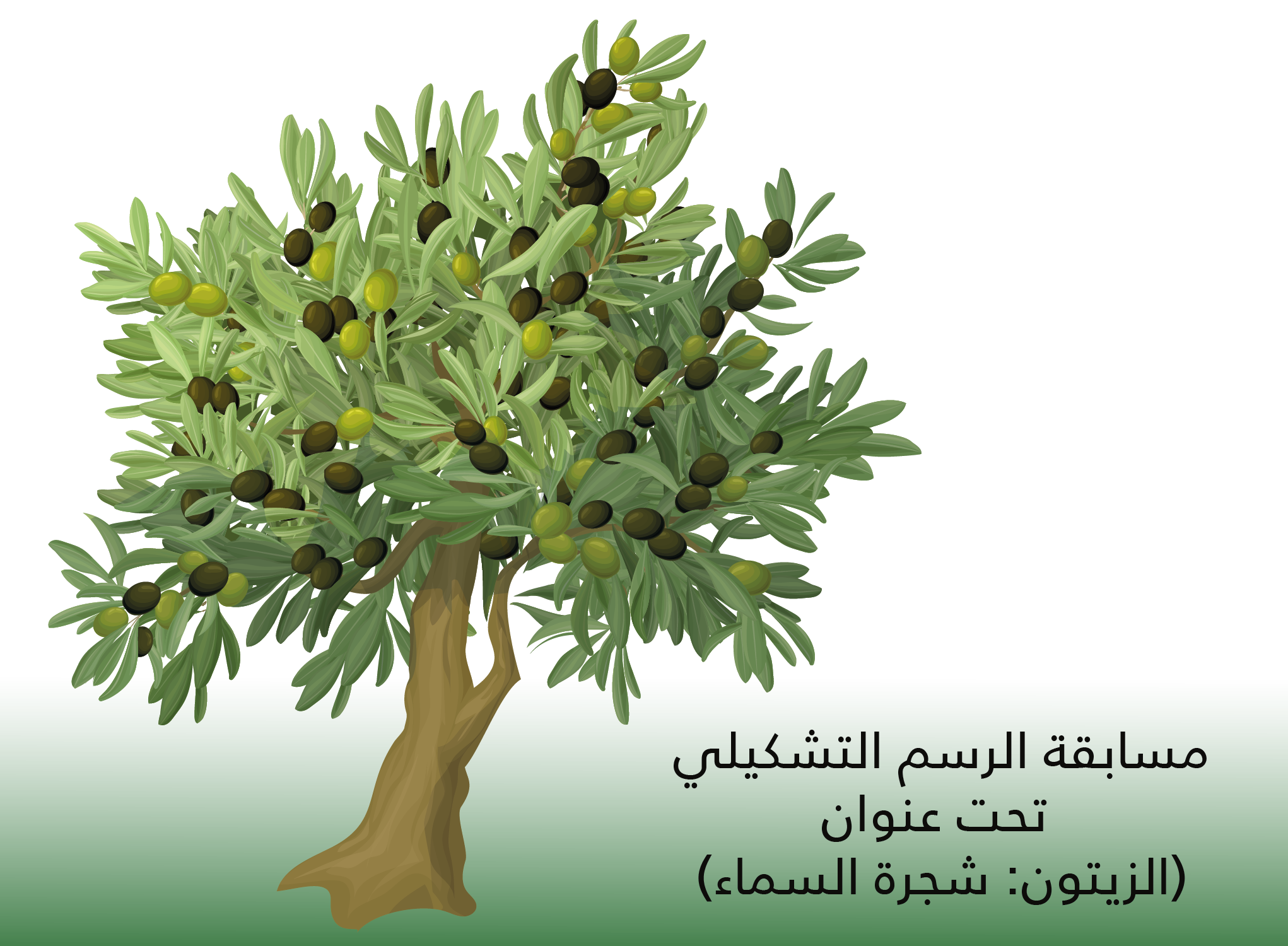 مسابقة الرسم التشكيلي تحت عنوان الزيتون شجرة السماء جامعة بيرزيت